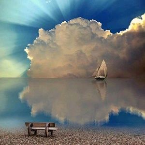 Meet your Posher, Troy